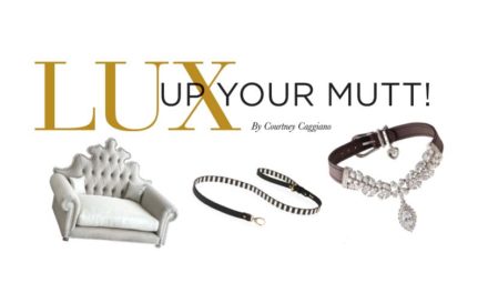 LUX Up Your Mutt!