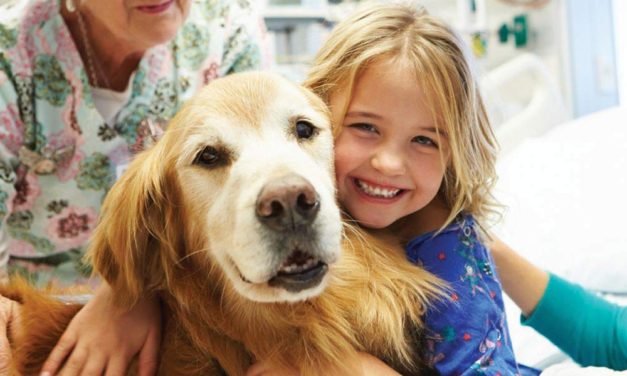 Unleashing HOPE  Stem cell therapy for pets