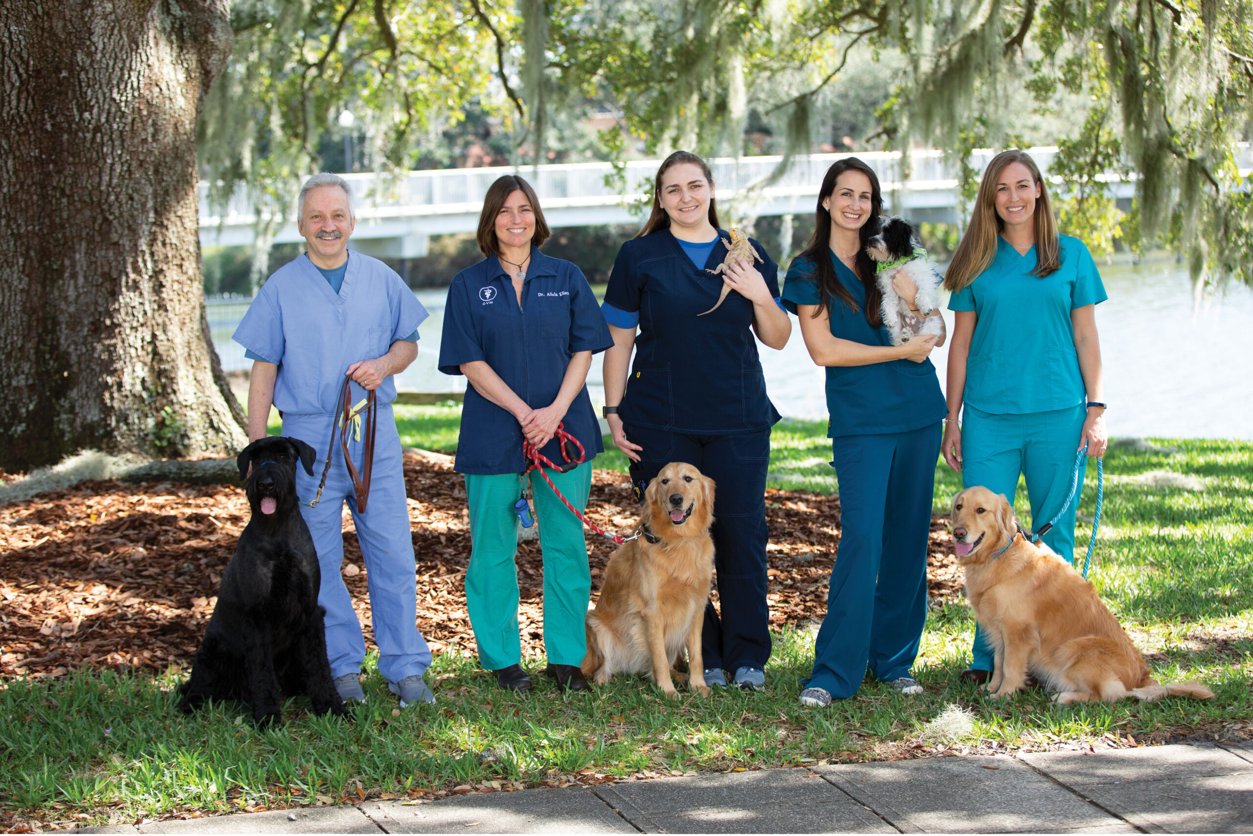 Lake Seminole Animal Hospital - Tampa Style Magazine